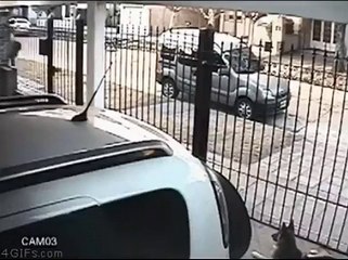 L'idée de génie d’une femme face à des voleurs à moto