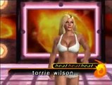 Torrie Wilson vs. Candice Michelle