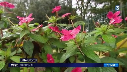 Météo : un pic de douceur attendu ce week-end