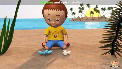 Colorful Shells - Nursery Rhyme with Karaoke