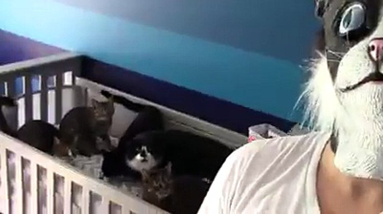 funny cat and mom