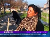 Dnevnik, 07. novembar 2015. (RTV Bor)