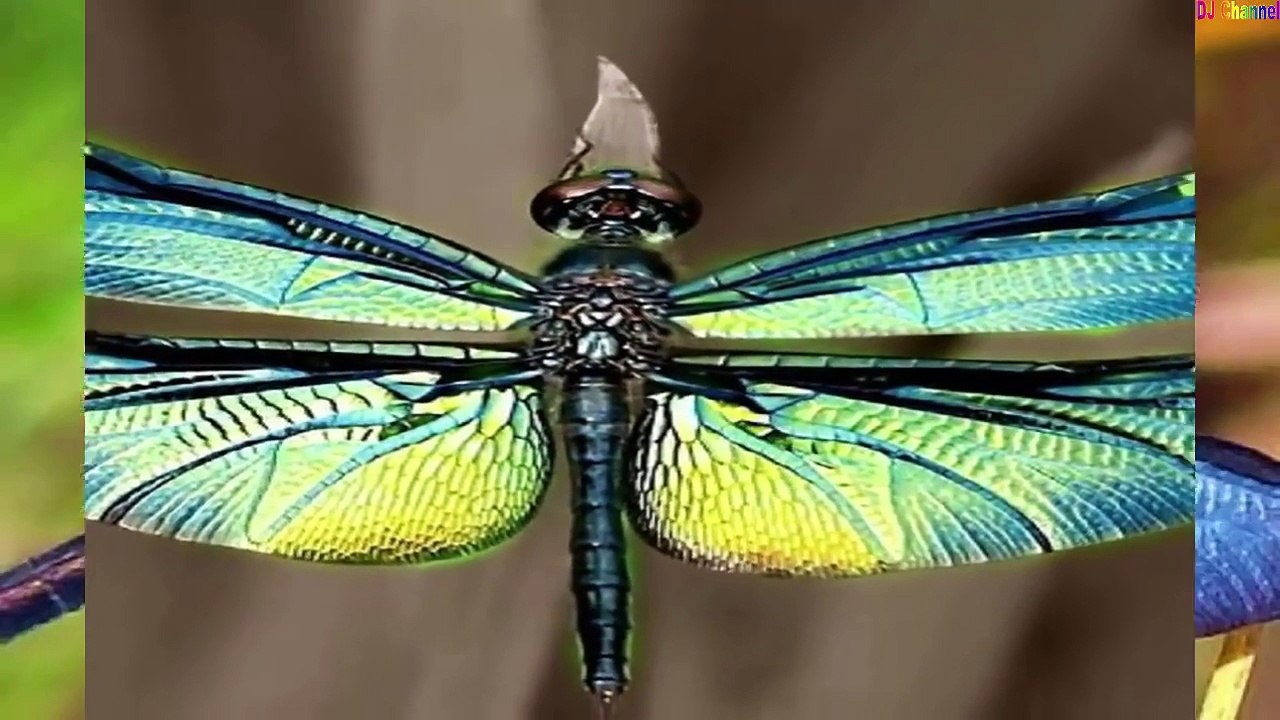 Liên Khúc Nhạc Thiếu Nhi Remix Hay Nhất 2015 || Liên Khúc Các Loài Động Vật Vui Nhộn Nhất