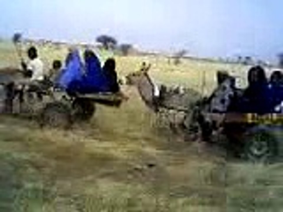 عرس في المزنبق الشقيقة ههههه
