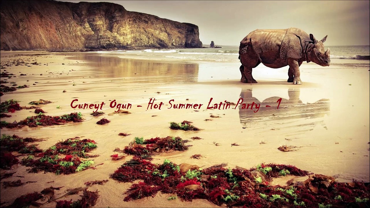 Cuneyt Ogun - Hot Summer Latin Party - 1(Mini Set)