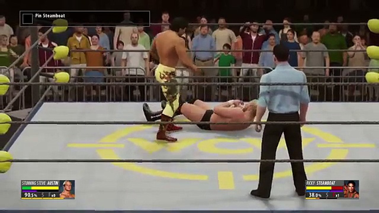 Stunning Steve Austin vs (2)