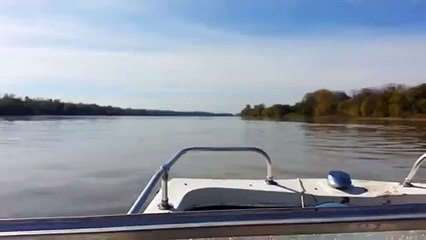 Big Sea Monster along American Ocean Surprises People