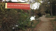 L'AUTOMNE 2015  autour du LAC DU BOIS BOULOGNE