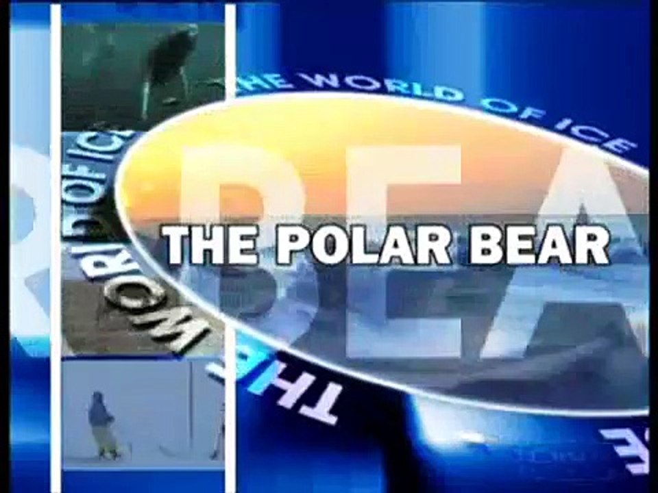 Polar Bears & Their World Of Ice