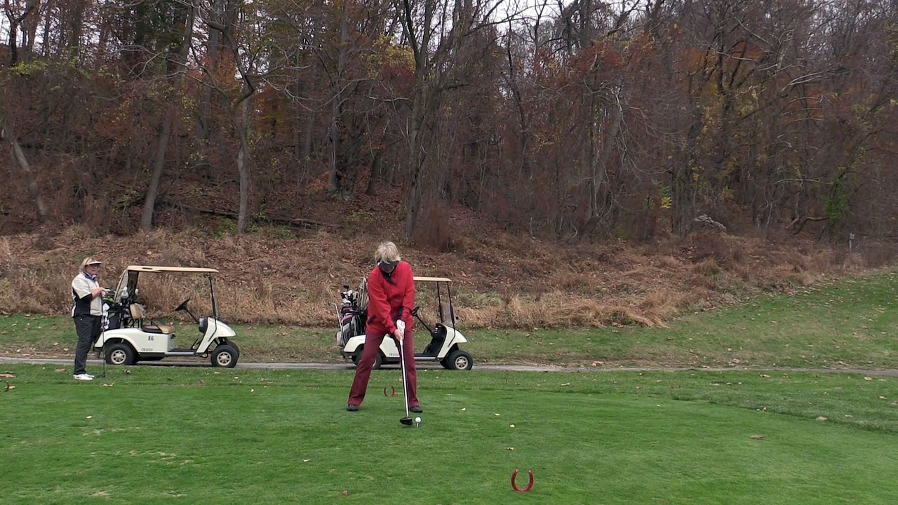Susan's swing