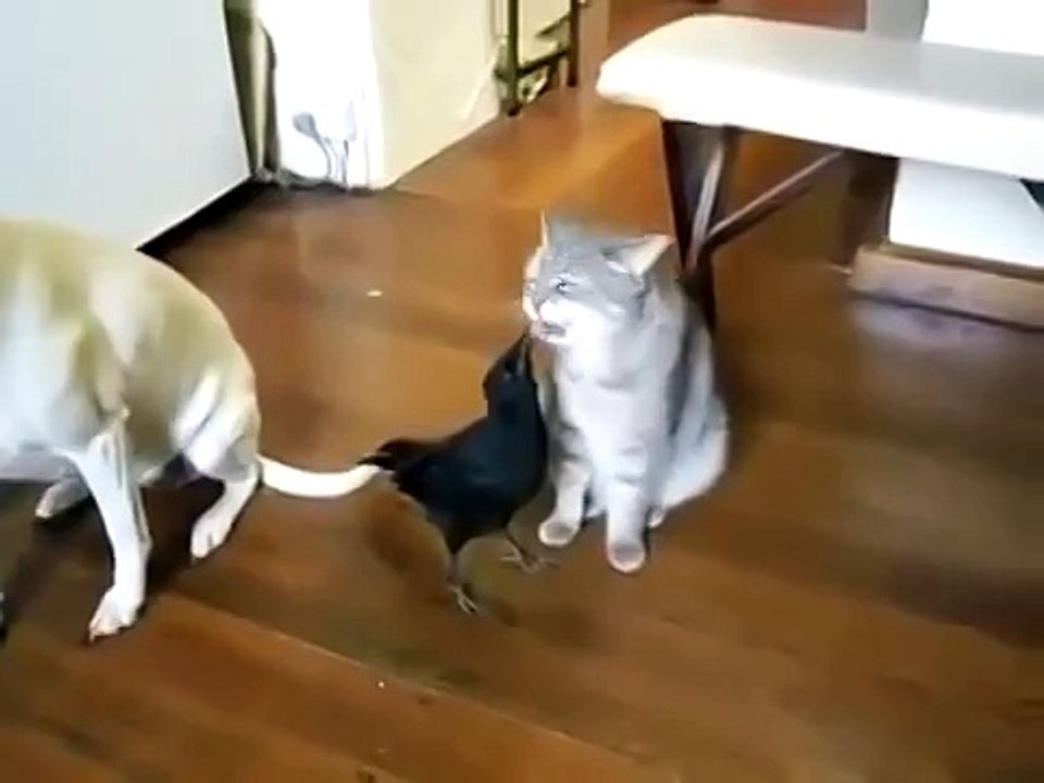 Ни за что бы не поверил, если бы кто рассказал