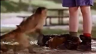Monkey Trouble (1994) Trailer