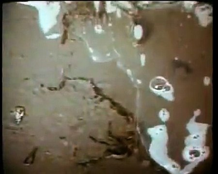 Medea (1988), Lars Von Trier