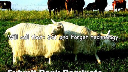 The First Commandment of Internet Marketing