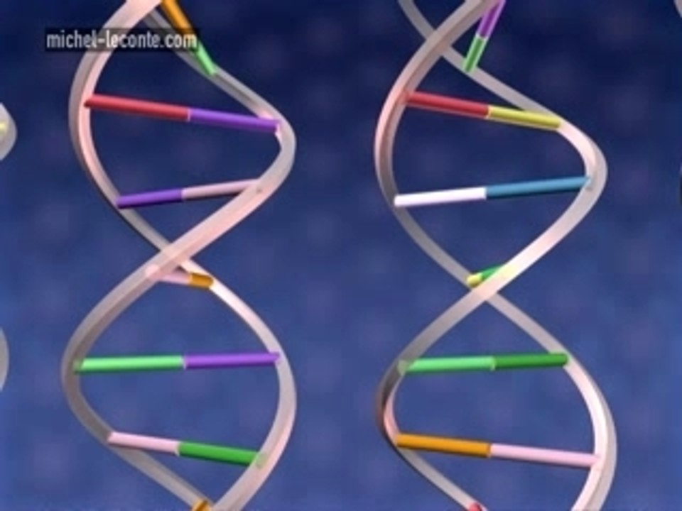H5N1-virus-mutation