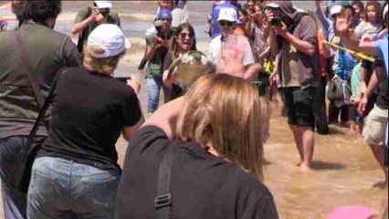 Cuatro tortugas vuelven al mar guiadas por los niños que las rescataron