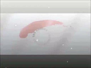 Dilwale (2015) - Official Trailer - Shah Rukh Khan - Kajol - Varun Dhawan - Rohit shetty - HDEntertainment