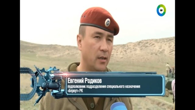 Союзники от 7.11.2015. voenvideo.ru