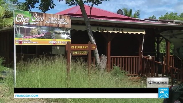 Guadeloupe : L'invasion des algues