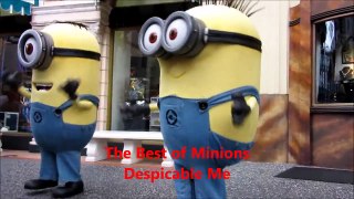 Best of Minions : Despicable Me