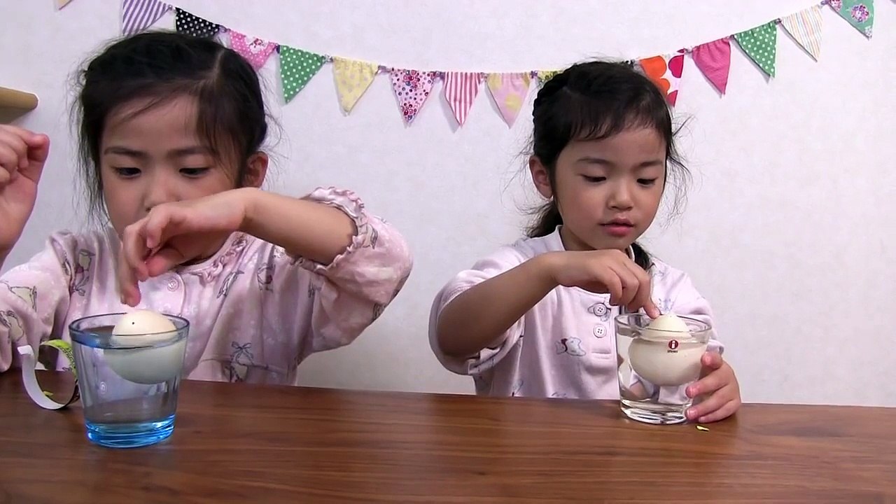 柳川でみつけた恐竜のたまご Dinosaur Egg