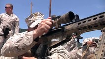 US Military MOST FEARED sniper rifle the M107 rifle