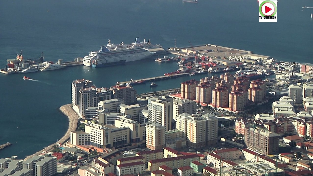 Gibraltar: Barbary Macaques / Les singes - Gibraltar webTV