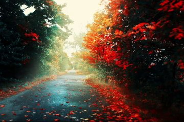 Maulana Tariq Jameel ay insaan apna maqsad ko samajh