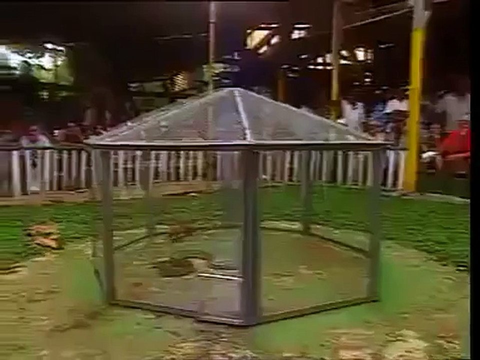 Anaconda vs Mongoose_(360p)