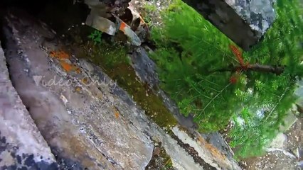 The Most Amazing Cliff Diving Video Ever