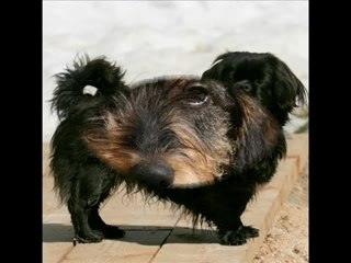 Road Trip Along Russia’s Volga River 🚗