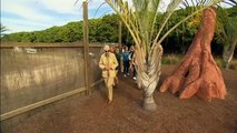 Steve Irwin Zoo | 15 year old Bindi video