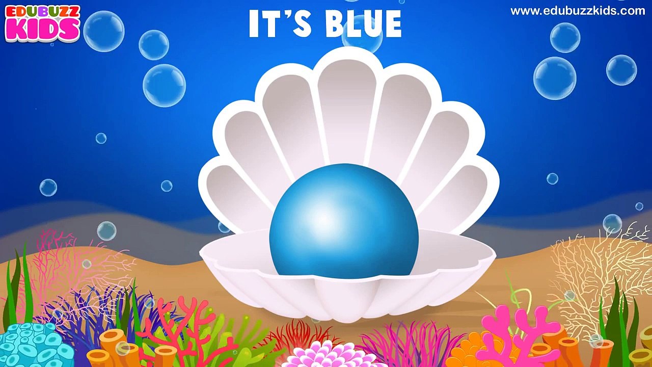 What Color is It? Learn Colors | Colors Song for Children