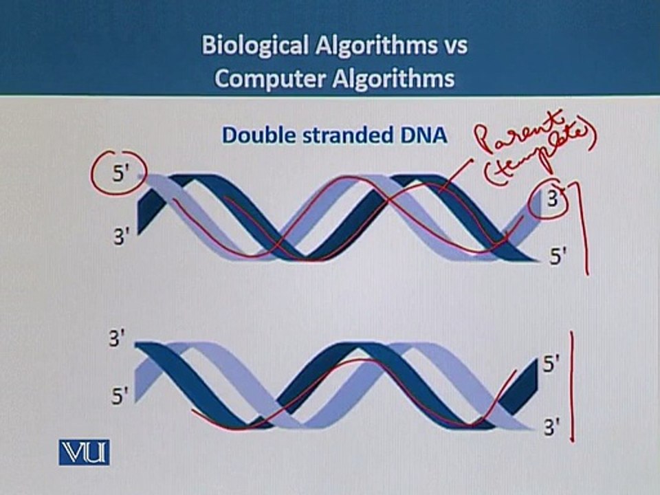 BIF732_Topic017