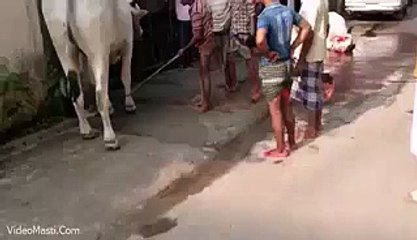 pagal larka Kya Kick Mari Hai Haha - Very Funny