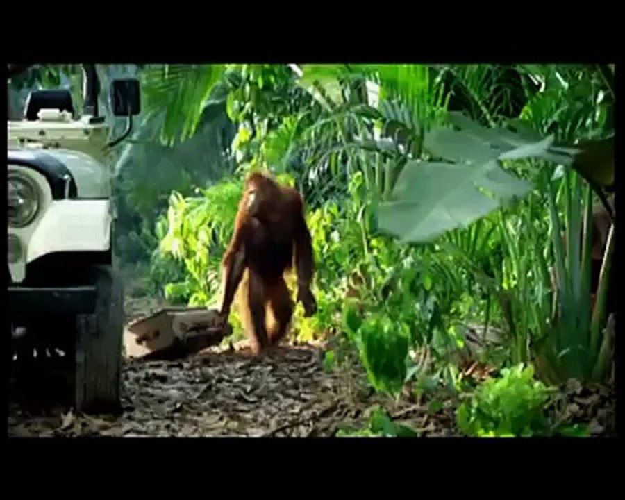 funny video 57