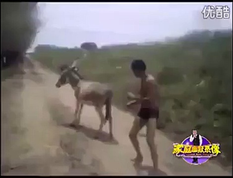 Funny Wrestling with donkey