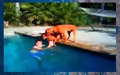 Have you ever been this worried?