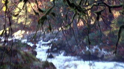 The Hermitage Dunkeld Scotland