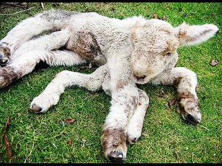 Funny pranks Try not to laugh funny videos fail compilation 2015 funny girls 14