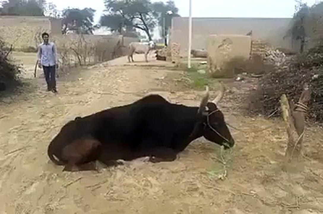 funny 3