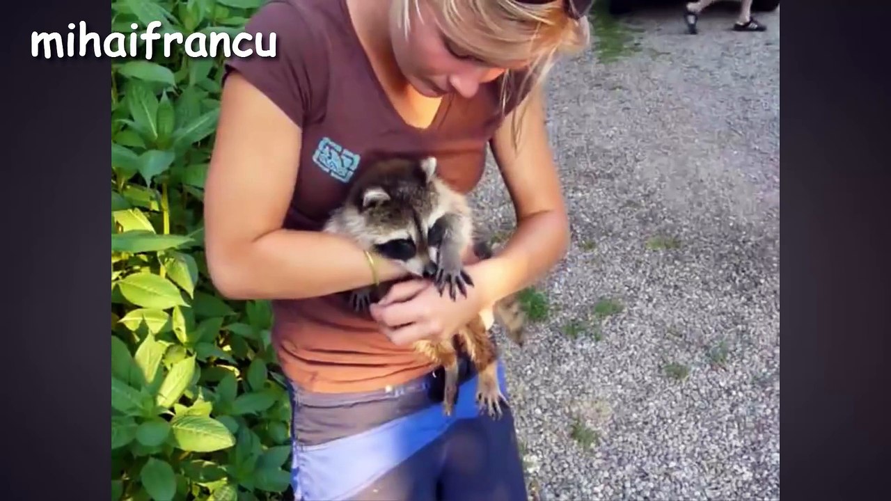 Funny Animals - A Funny And Cute Animal Videos Compilation 2015 [NEW HD]