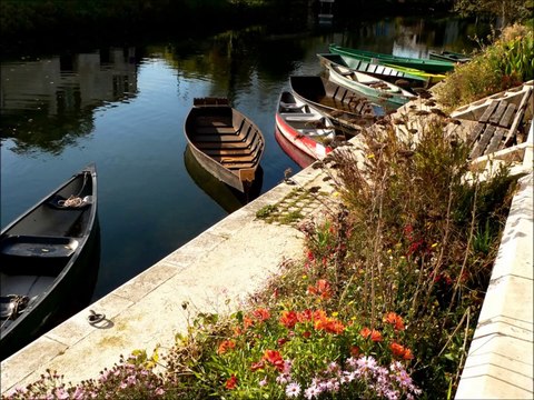 L'automne dans le marais Poitevin par François