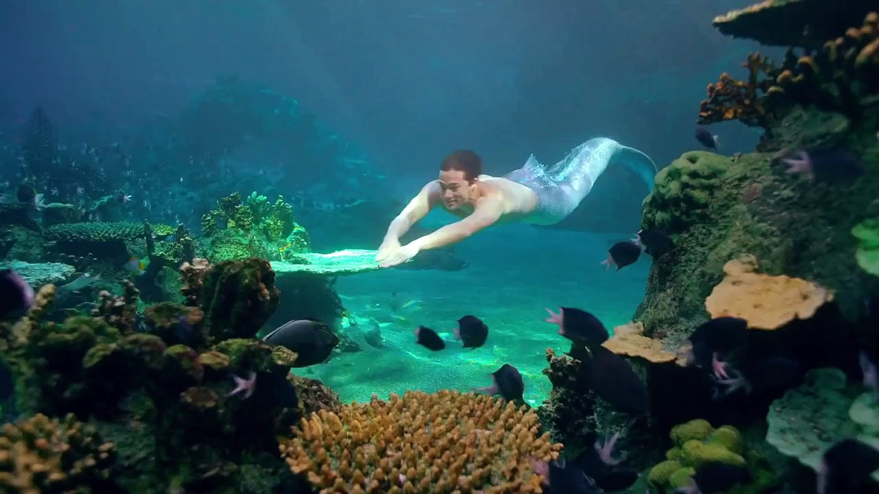 Mako Mermaids Music Video Trailer Netflix - Dailymotion Video