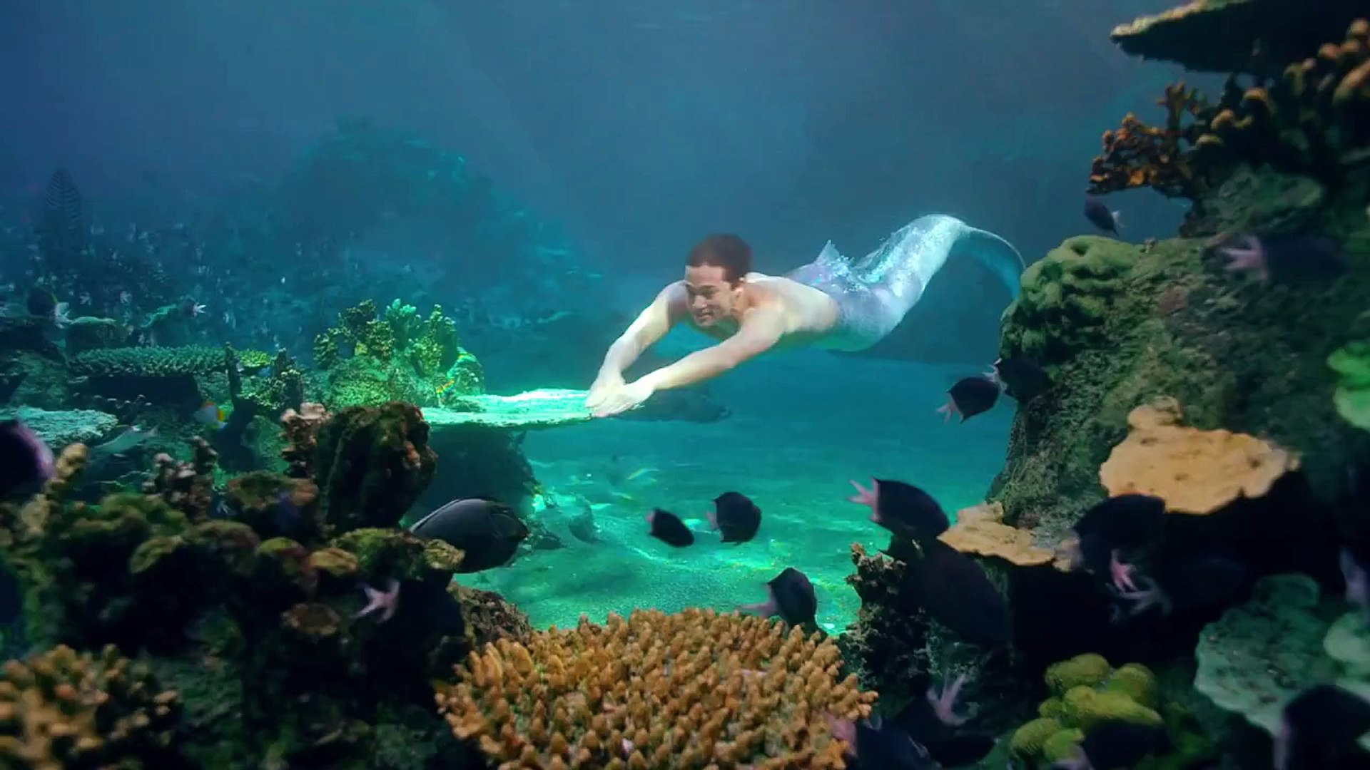 Mako Mermaids Music Video Trailer