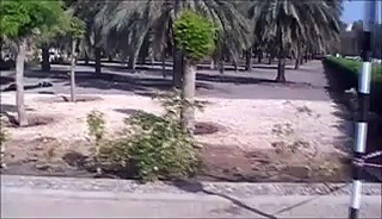 CITY TOUR MUSCAT SULTANATO DE OMÃN