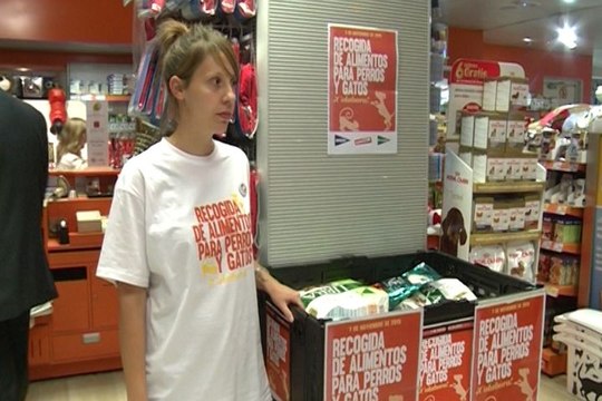 Pienso para los perros y gatos más desfavorecidos