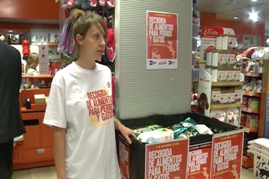 Pienso para los perros y gatos más desfavorecidos