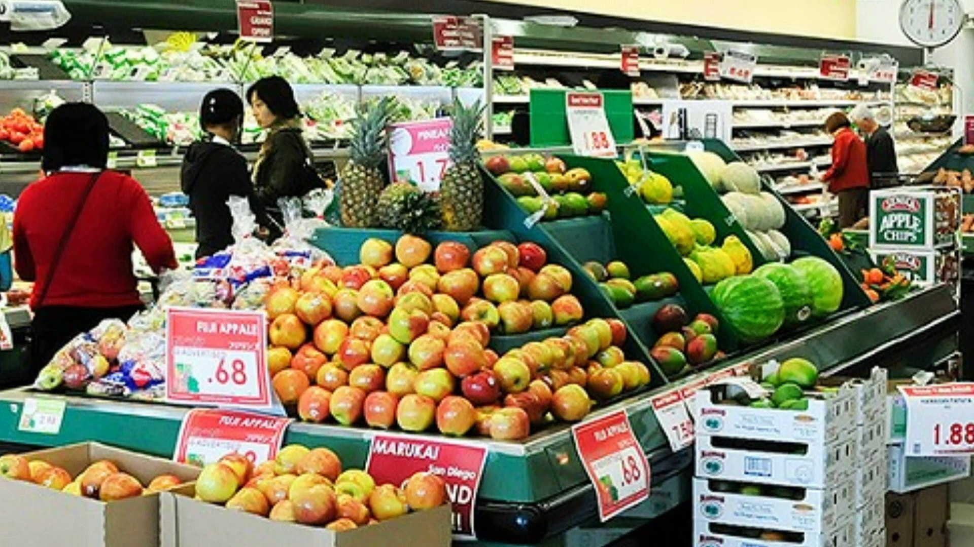 The therapeutic artificial intelligence software