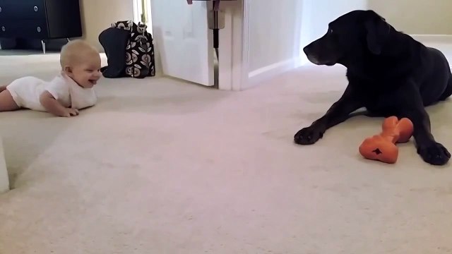 Первые шаги